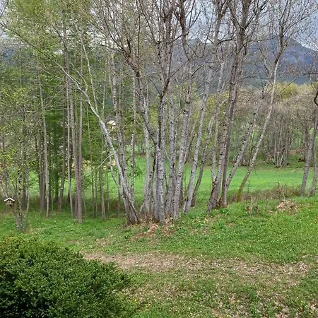 Le Chamois D Or Appartement Allos